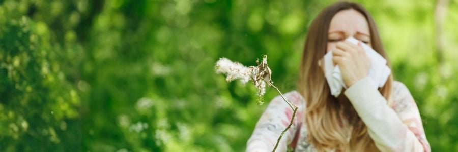 Pollen Allergies: Symptoms, Prevention and Everyday Tips