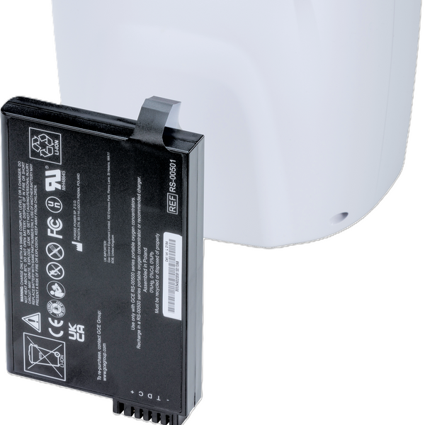 Batteria standard - GCE Zen-O (12 celle)